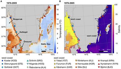 Genetic structure and diversity of the seagrass Zostera marina along a steep environmental gradient, with implications for genetic monitoring